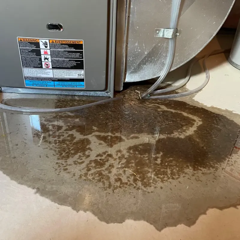 Appliance Leak Cleanup in Saratoga Springs, NY